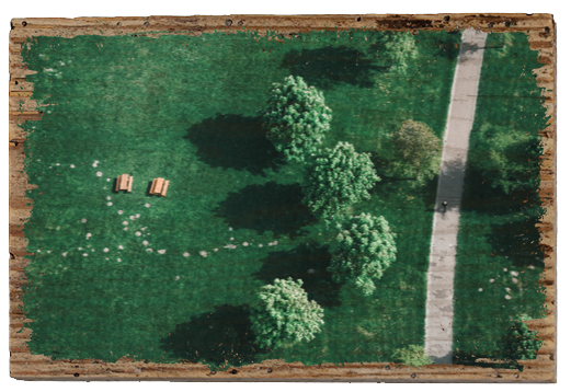 Picnic in the Countryside